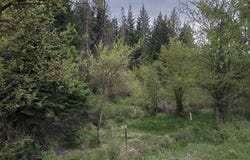Clearwater Rd, Stites, ID 83552