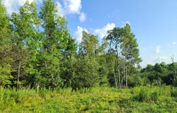 ON WOODLAWN RD, Kennan, WI 54537