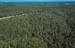 Tract 4 Private Drive, Norwood, MO 65717