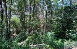 Miller St., Atlanta, TX 75551