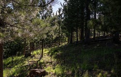 Davidson Court, Lead, SD 57754