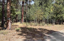 14 W River Dr., Lowman, ID 83637