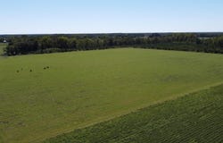 Tema Road, Hartsville, SC 29550