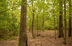 Terry Road, Byram, MS 39272