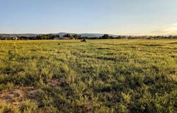 504 E 4Th Street, Eagar, AZ 85925