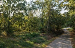County Road 227, WATER VALLEY, MS 38965