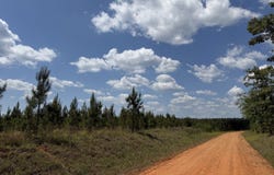 001 George Milling Road, Cuthbert, GA 39840