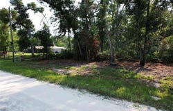 NE 497TH Street, OLD TOWN, FL 32680