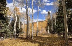 1022 N Dry Lakes Rd, Brian Head, UT 84719