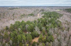 County Road 2660, Mountain View, MO 65548
