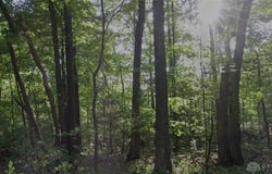 1148 Robinette Road, West Union, OH 45693