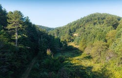 Nubbins Ridge Road, BEESON, WV 24714
