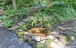 13 Cattail Drive, Sylva, NC 28779
