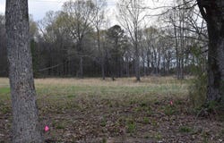 HWY 193 Rd, Williston, TN 38060