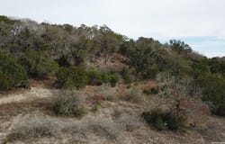 335 Arthur CT, Spring Branch, TX 78070