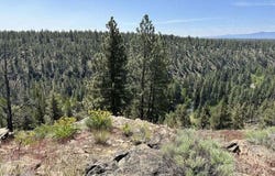 17127 Mountain View Road, Sisters, OR 97759