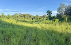 Hwy 62, Blakely, GA 39823
