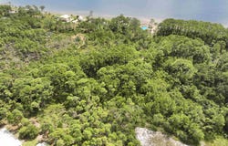 WOODILL Road, Carrabelle, FL 32322
