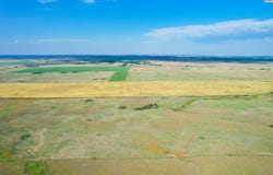 N County Rd, Coldwater, KS 67029