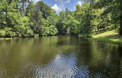 105 Lakewood Drive, Evergreen, AL 36401