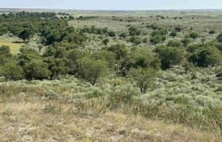 E County Rd 49, Shattuck, OK 73858