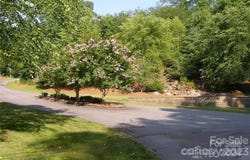 Bear Cliff Way, Lake Lure, NC 28746