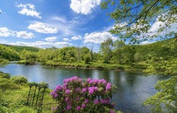 646 River Road, Deposit, NY 13754