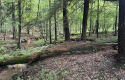 . Valley Drive, Leeper, PA 16233