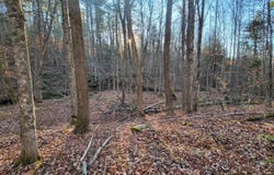 535 Collar Hill Road, Calais, VT 05648