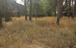 S Madelia St, Spokane, WA 99223