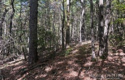 Eagles Nest Lane lot: #24, Glade Valley, NC 28627