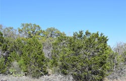 Cheyenne Trl, Wimberley, TX 78676