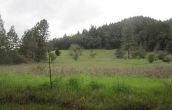 NE ORCHARD Dr, MyrtleCreek, OR 97457