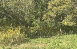 No E Integrity Road lot: 11, McComb, MS 39648