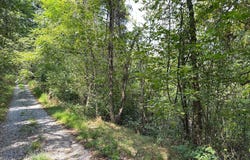 CAMPBELL HILL ROAD, STANLEY, VA 22851