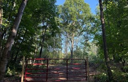 Par 3 Clements Road, Kaleva, MI 49645
