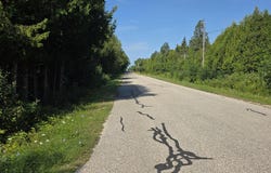 395 Gorman Rd, St. Ignace, MI 49781