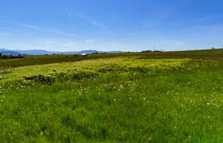 NHN Bigfoot Trail, St Ignatius, MT 59865