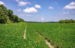 0 Straight Bayou Rd, Anguilla, MS 38721