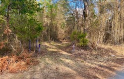 MC 30, Doddridge, AR 71834