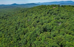 COMPTONS RD, CASTLETON, VA 22716
