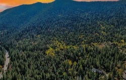 5295 Kulsa Road, Cascade, CO 80809