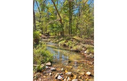 TBD (23) Manfred Road, Norman, AR 71960