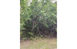 5 Silver Lane, Linn Valley, KS 66040