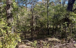 4.5A Honeysuckle Lane, Franklin, AR 72536