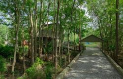 6225 Turkey Ridge, Patterson, GA 31557