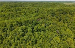 Pleasant Run, West Liberty, KY 41472