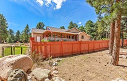 8172 Birch Dr, Rye, CO 81069