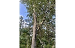 PID 28848 CR 1735, Grapeland, TX 75844