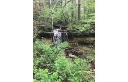 Oak Thicket Lane, Galena, MO 65656